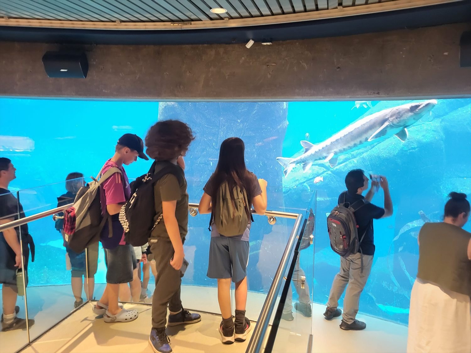 Jeunes devant un grand aquarium